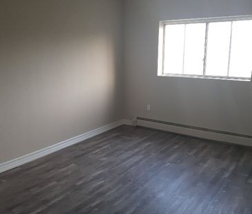 One Bedroom Apartment - Photo 4