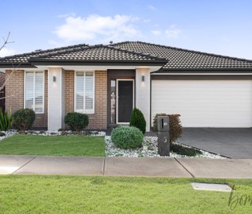 Family-Friendly Comfort in the Heart of Donnybrook - Photo 4