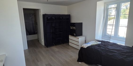Studios à Louer 1440 Rue Des Pionniers - Photo 3