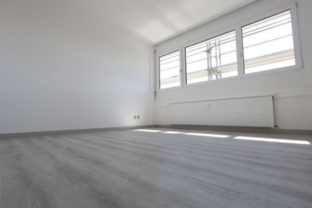 Luminoso 2.5 locali APPENA RISTRUTTURATO a Coldrerio - Photo 4