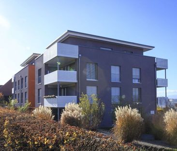 Appartement de 3.5 pièces au rez-de-chaussée - Photo 4