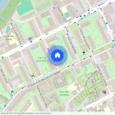 1213, Onex, Rue de la Calle, 34