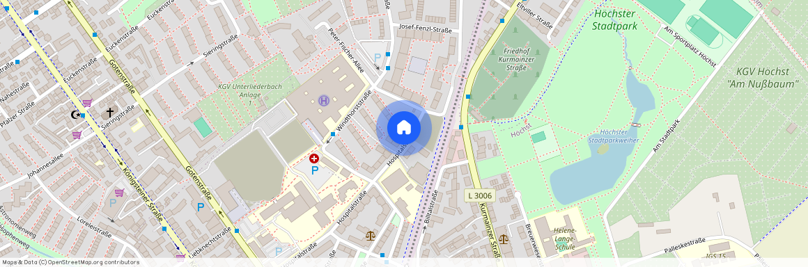 Hospitalstr. 17, 65929, Frankfurt Am Main Ot Höchst