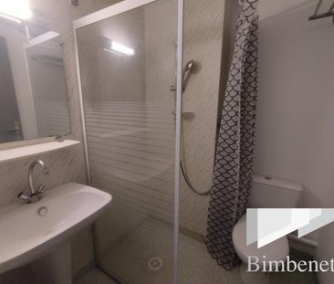 Appartement à louer, 1 pièce - Saint-Jean-le-Blanc 45650 - Photo 4