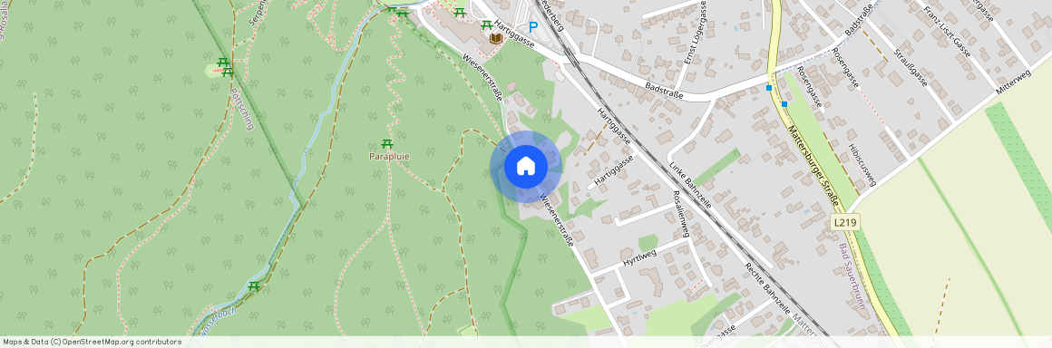 Wiesenerstraße RH 4, 7202 Bad Sauerbrunn