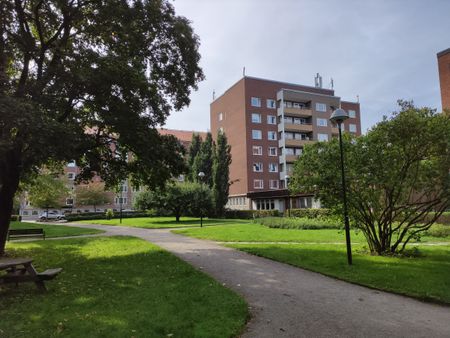 Centralt rum på 14 m² för uthyrning till vegan eller vegetarian - Photo 4