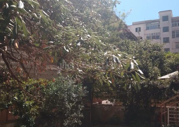 Casa in affitto - Via Abruzzi, Palermo (rif. 11/2026)