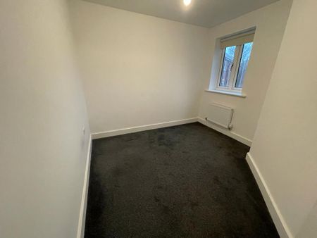 The Newton - Photo 4