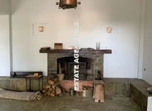 Μονοκατοικία για ενοικίαση - Παιανία, - Photo 1