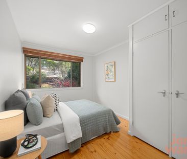 256 Dryandra Street, O'Connor ACT 2602 - House For Rent | Domain - Photo 3