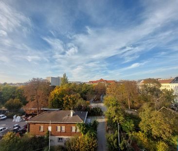 Gemütliche 1,5- Zimmer Dachgeschosswohnung mit Terrasse am Matznerpark - Photo 4