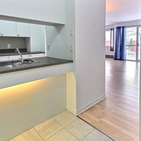 3 1/2 GRAND, lumineux, rénové (LORETTEVILLE) - Photo 3