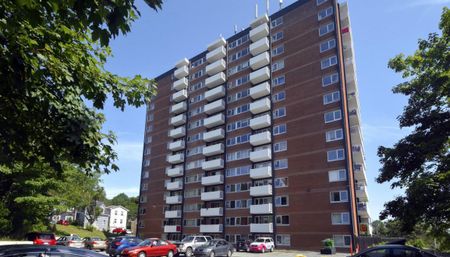 1 Oak Street - Photo 4