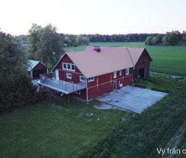 Skogstibble, Vänge - Photo 3