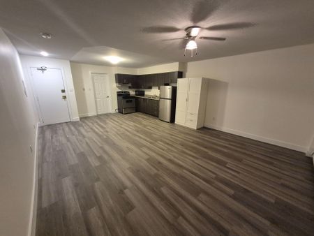 For Lease - 27 Bridge Street Unit# 107, Brantford, Ontario - Photo 2