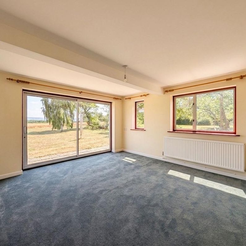 4 bedroom semi-detached house to rent - Photo 1