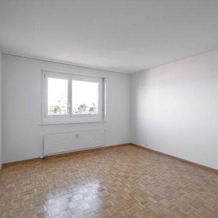 Votre recherche de logement s’arrête là - Foto 1