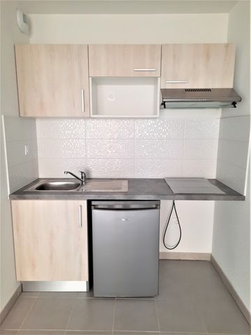 Location Appartement 2 pièces 39m² ROQUES 31120 - Photo 3