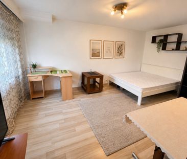 Apartament cu o cameră Bucovina - Fotografie 5