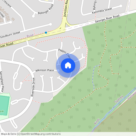 24 Peppin Crescent, Airds NSW 2560