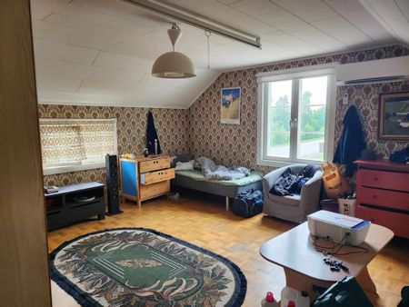 Fäbodåkern, Umeå - Photo 4