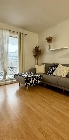 Appartement 3 ½ à louer Sainte-Foy / Sillery juillet 2026 - Photo 1