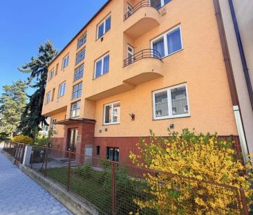 PRONÁJEM PĚKNÉHO CIHLOVÉHO BYTU 1+1, BRNO ČERNÁ POLE - Фото 1