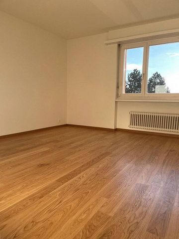 Grosse Wohnung im schönen Richterswil - Foto 2