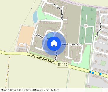 Hodgson Avenue, Leiston - Photo 1