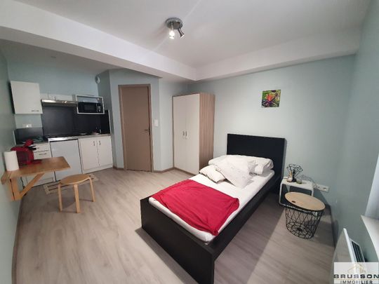 Location Appartement 1 pièce 16m² CASTRES 81100 - Photo 1