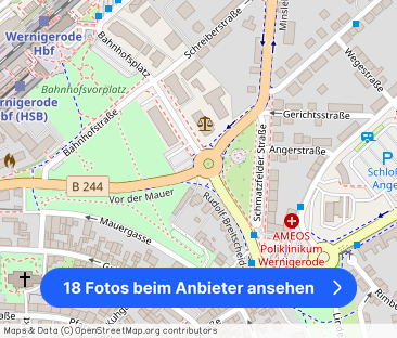 Ganz besonderes Wohnen in Wernigerode – Altstadt, 3 Zi.-120 m² mit ... - Foto 1