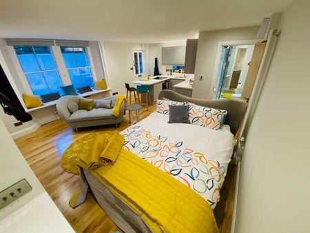 Studio Flat, Bristol, BS6 - Photo 3