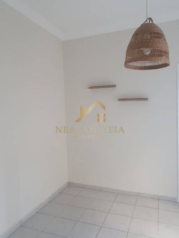Διαμέρισμα για ενοικίαση Ευζώνων - Πεδίον Άρεως (Φάληρο - Ιπποκράτειο) - Photo 3