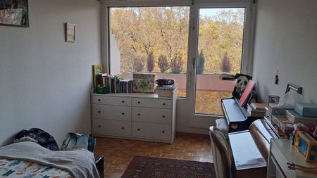 Zu vermieten - Geräumige 5-Zimmer-Wohnung - 160 m² - Genf (Eaux-Vives) - Balkone & Blick auf den Salève - Foto 4