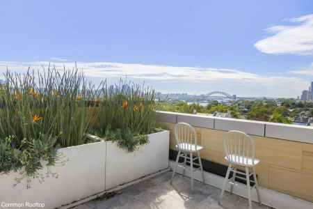 Boutique Living in the heart of Balmain - - Photo 5