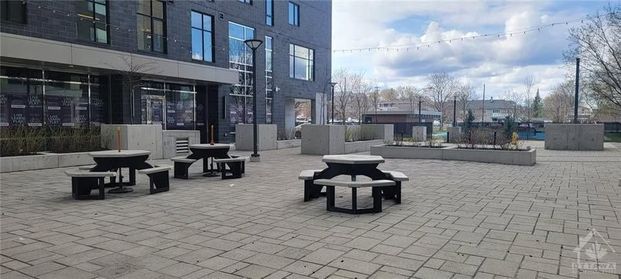 For Lease - 105 Champagne Avenue Unit# 707, Dows Lake - Civic Hospital and Area, Ontario - Photo 1