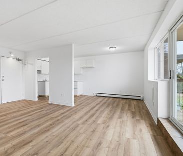 For Lease - 19 Manchester Avenue Unit# 301, St. Catharines, Ontario - Photo 2