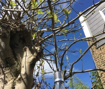 Snug single room with private shower room tucked away at the top of... - Photo 6