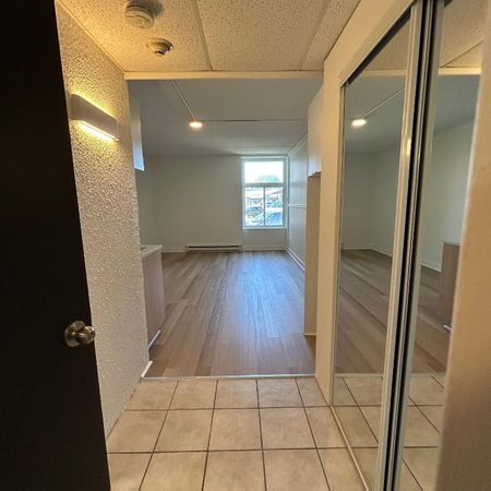Studio - Saint-Charles-Borromée - $1,049 /mo - Photo 3