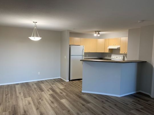 1105 12A Ironside - Photo 1