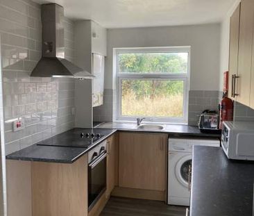 Double Room @ Five Bedroom Female Only share Phillips Parade, Swansea. - Photo 4