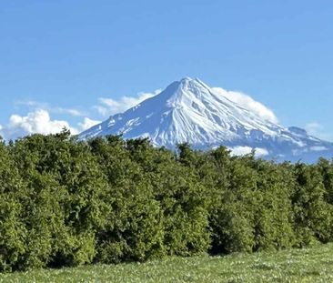 Quiet Countryside Home - Photo 5