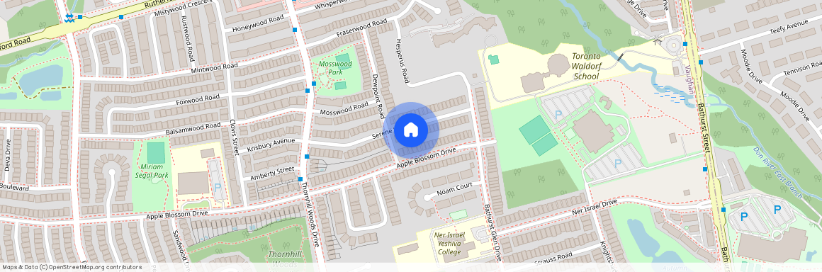 81 Serene Way, Markham