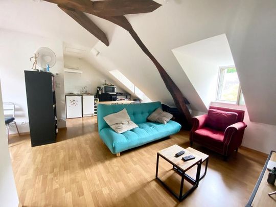 Location Appartement 1 pièce 26m² TOURS 37100 - Photo 1