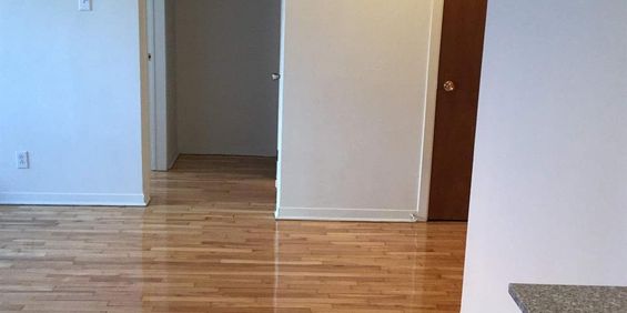 1 CH - 1 SDB - Montréal - $1,200 /mo - Photo 3