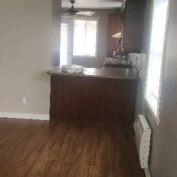 3 1/2 tranquille à louer - Photo 1