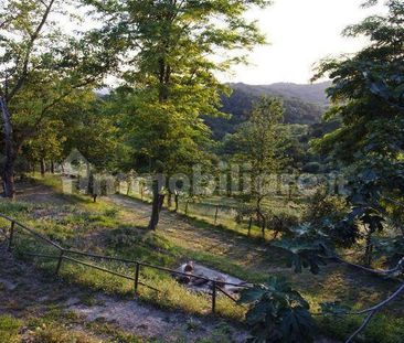 Monolocale via di Montecastello, 70, Montecastello, Treggiaia, I Fa... - Photo 4