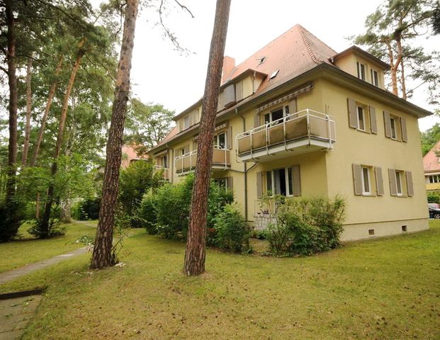 1-Zimmer-Wohnung in Erlangen Sieglitzhof - Photo 1