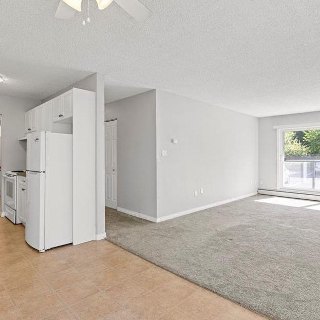 202 – 218 Bayview Avenue - Photo 1