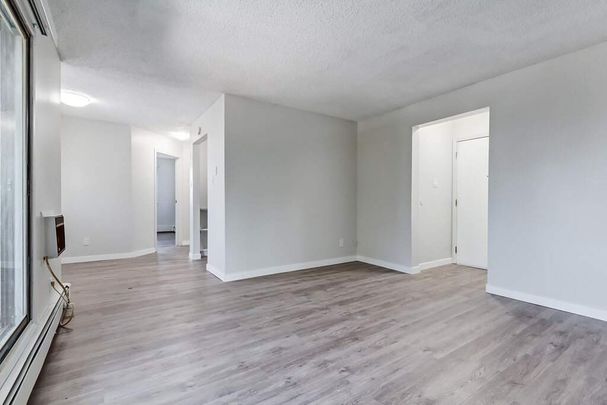 1 Bedroom - Photo 1
